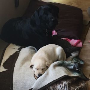 Meet your Posher, Kim